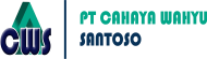 logo pt cws